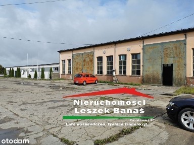 ul. Ludwika Waryńskiego, Radzyń Chełmiński, grudziądzki, kujawsko-pomorskie