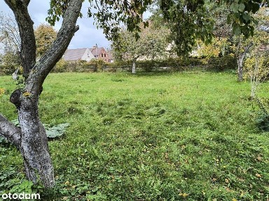 Dom z gruntem 1,6 ha i pod działalność- Budziechów