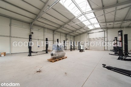 Nowa Hala 460 m2 Na Wynajem Rzeszów