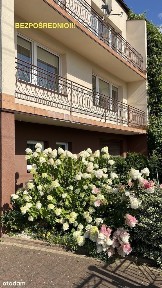 ul. Wojska Polskiego, Żyrardów, żyrardowski, mazowieckie