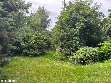 Dom w otoczeniu zieleni. Zrób sobie dom.