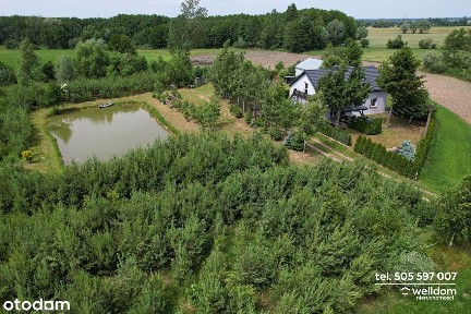 Chrostkowo, lipnowski, kujawsko-pomorskie