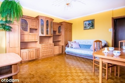 komfortowe mieszkanie w doskonałej lokalizacji