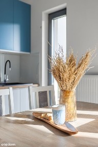 REZERWACJA Mieszkanie z dużym ogrodem, Daszewice.