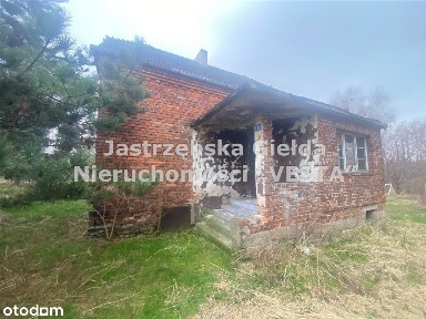 Dom Do Remontu Z Dużą Działką W Gaszowicach