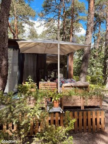 Domek wraz z leśną działką