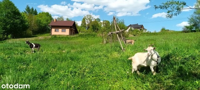 Sprzedam dom w Rokszycach