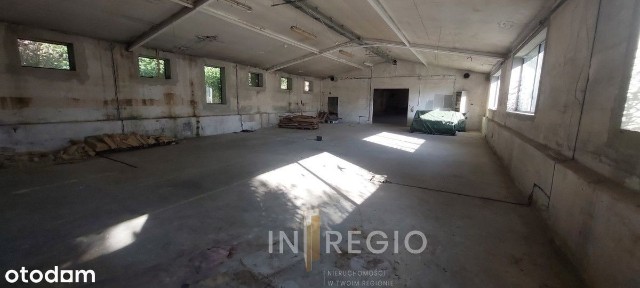 ul. Roberta Kocha, Tuszyn, łódzki wschodni, łódzkie