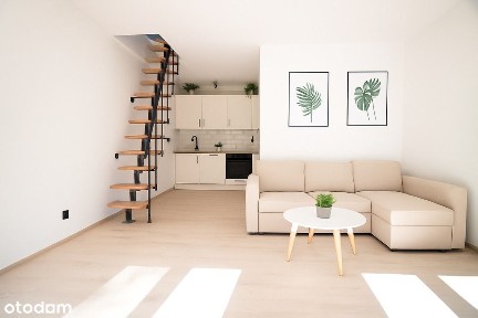 Pabianice, pabianicki, łódzkie