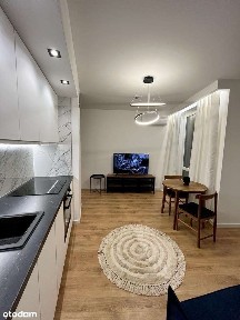 Apartment Wiktoryn Street