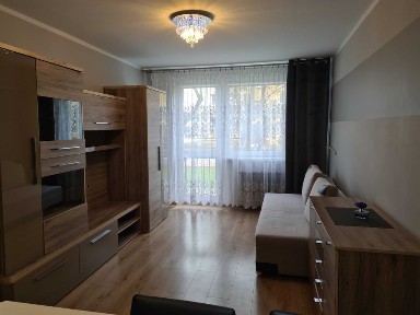 Mieszkanie Kawalerka do wynajęcia