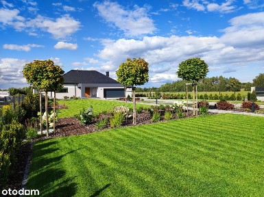 Nowoczesny dom jednorodzinny z profesjonalnie założonym ogrodem