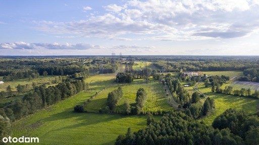 Stare 6,5h siedlisko 5km od Żyrardowa