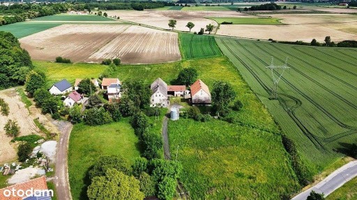 Do sprzedania dworek/gospodarstwo! Duża działka!