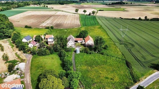 Do sprzedania dworek/gospodarstwo! Duża działka!
