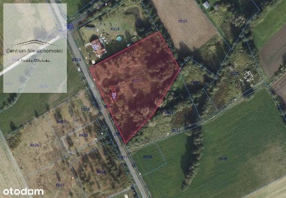 Na sprzedaż duża działka z budynkiem!