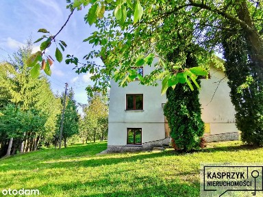 Duże Gospodarstwo Z Zabudowaniami W Komborni.