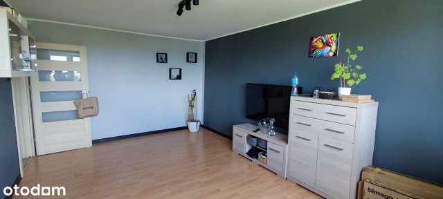 Idealnie usytuowane, 3-pokojowe mieszkanie w Gnieźnie.