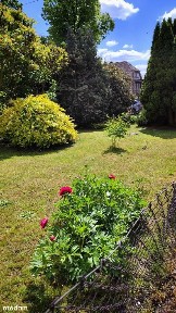 Sprzedam mieszkanie z zabudowaniami i ogrodem-Pogorzela, gm. Olszanka