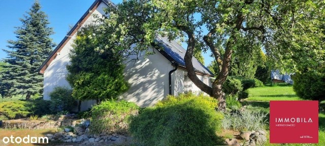 Urokliwe siedlisko na Kaszubach W Nowej Cenie!