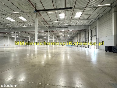 Magazyny hale wynajem Ruda Śląska - Klasa A - przy A4 - BEZ PROWIZJI!