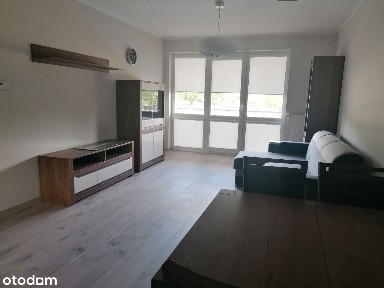 ul. Botaniczna, Jędrzychów, Zielona Góra, lubuskie