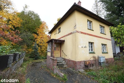 Wyjątkowa willa do własnej aranżacji - ogród - dwa