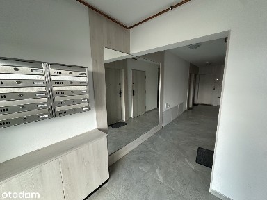 Zwierzolubne mieszkania do najmu to nie jest wcale Biały Kruk