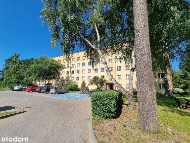 Przytulna kawalerka na II piętrze w leśnej miejscowości.