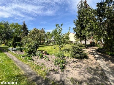 Dom do remontu ⭐Duża działka⭐Nowa Cena