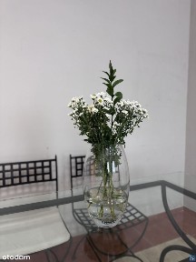 ul. Karola Świerczewskiego, Centrum, Siemianowice Śląskie, śląskie