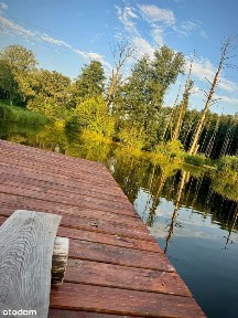 Zielona okolica, nowoczesny styl - Grotniki