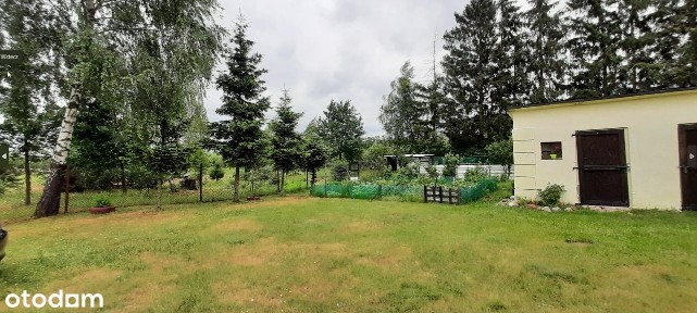 Bezpośrednio - Uroczy dom nieopodal Głowna