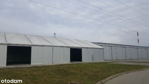 ul. Nasienna, Stargard, stargardzki, zachodniopomorskie