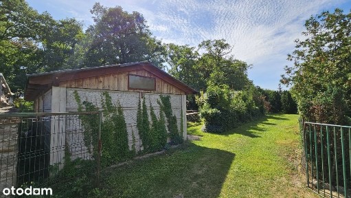 Nowa Cena! Lokal mieszkalny + ogródek, Brzoza