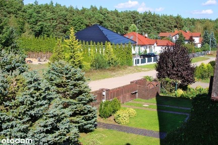 Mosina, poznański, wielkopolskie