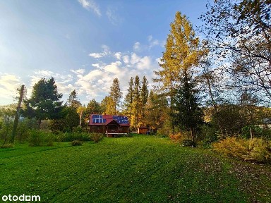 Dom do zamieszkania pod lasem, z dostępem do potoku!