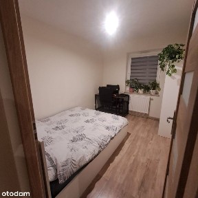 Do wynajęcia 2-pokojowe mieszkanie z osobną kuchnią - 39 m²