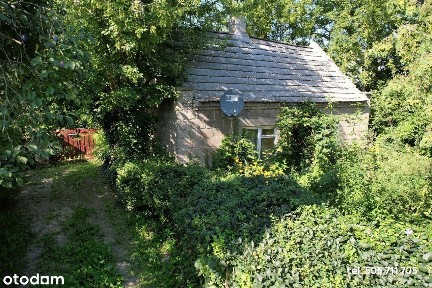 Siedlisko na Kujawach, działka 3400 m2