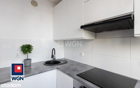 ul. gen. Ludomiła Rayskiego, Centrum, Śródmieście, Szczecin, zachodniopomorskie