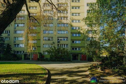 ul. Żwakowska, Osiedle Honorata, Tychy, śląskie