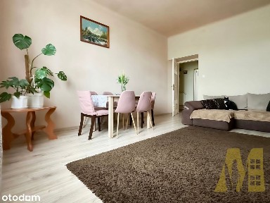 ul. Andrzeja Dowkontta, Planty, Radom, mazowieckie