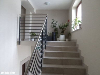 2-3 pokoje -ostatnie mieszkanie w okazyjnej cenie.