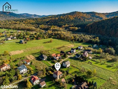 Atrakcyjna lokalizacja, dom do remontu- Pewel Mała