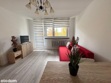 Osiedle Tysiąclecia, Katowice, śląskie