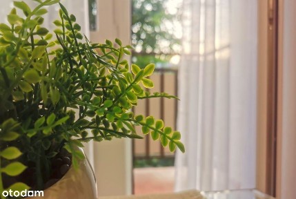 Centrum, Białystok, podlaskie