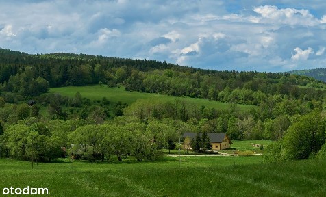 Beskid Niski, gospodarstwo agroturystyczne, dworek drewniany sprzedamy