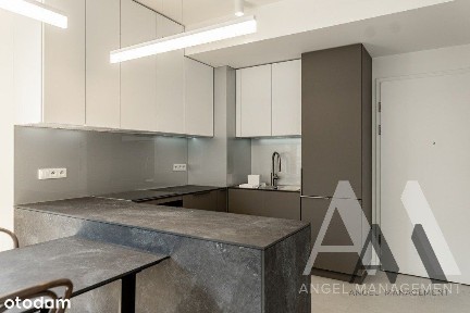 Do wynajęcia mieszkanie w Angel Stradom