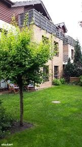 Wynajem mieszkania Szczecin - Warszewo