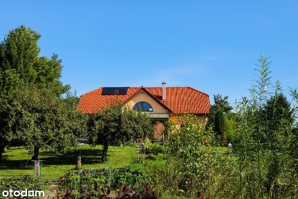 Dom pod Elblągiem z pięknym ogrodem i stawem